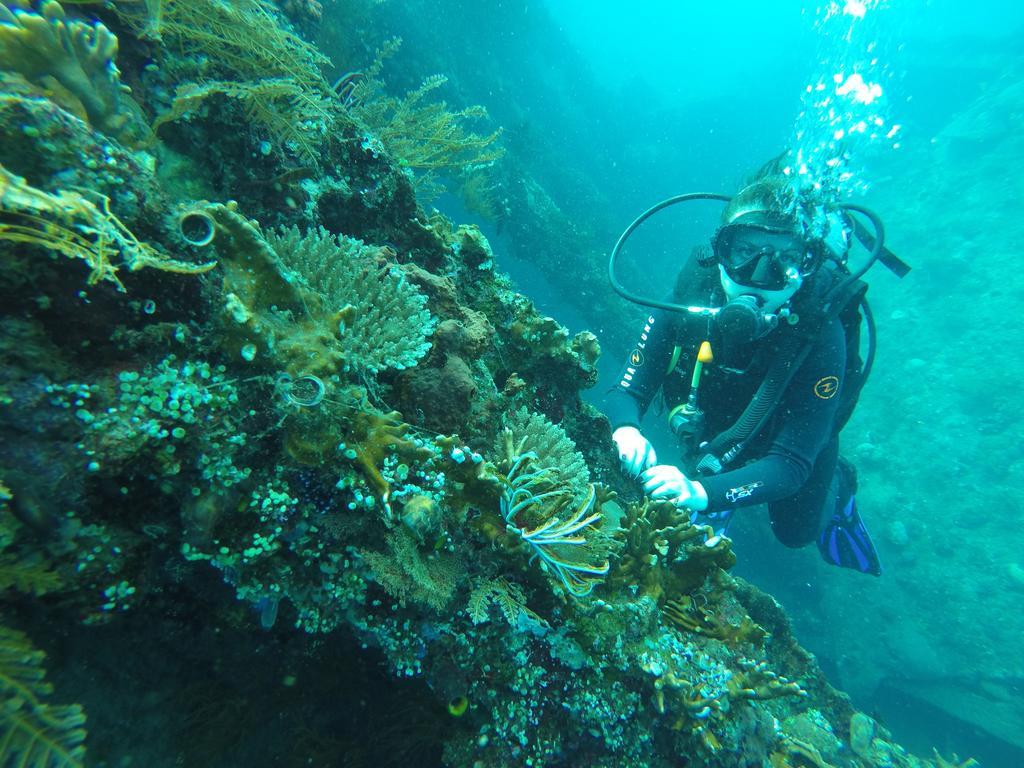 Ocean View Tulamben Dive & Resort Bagian luar foto