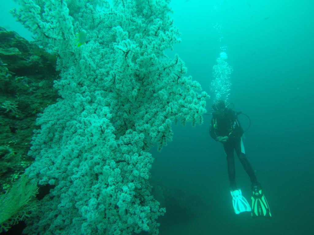 Ocean View Tulamben Dive & Resort Bagian luar foto